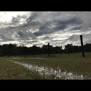 Meet your Posher, Casey